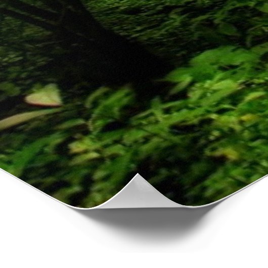 Zoek zelf Motivatie Magisch Woud uitvoeren Poster (Hoek)