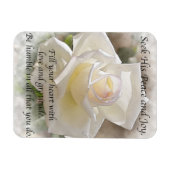 Zoek zijn vrede: White Rose Magneet (Horizontaal)
