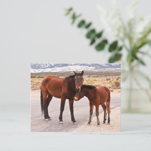 ZoekComfort Briefkaart (Staand voorkant)