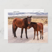 ZoekComfort Briefkaart (Voorkant / Achterkant)