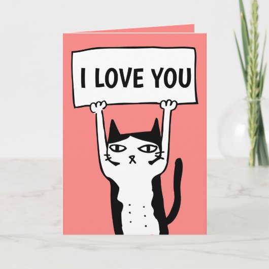 ZOEKE KATTEN VALENTIJNSDAG KAARTEN (Voorkant)