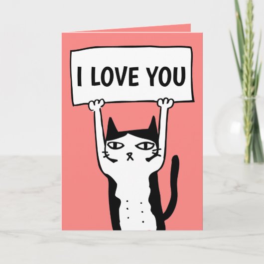 ZOEKE VALENTIJN DAG KAARTEN MET EEN KNAPPE KAT (Voorkant)