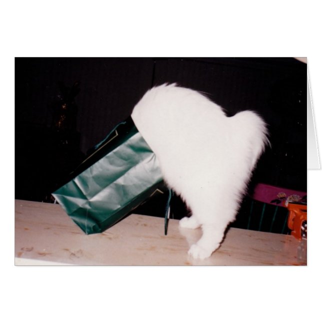 Zoeken (Voorkant Horizontaal)