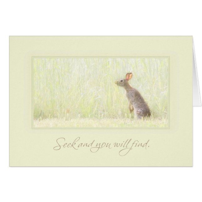 Zoeken en zoeken (Voorkant Horizontaal)