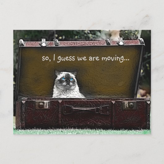 zoeken in een kartonnen tas met kleverige klep aankondigingskaart (Voorkant)