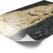 Zoeken naar droomtijd foto afdruk (Hoek)