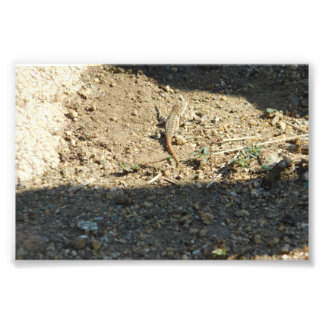 Zoeken naar droomtijd foto afdruk