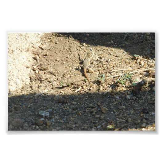 Zoeken naar droomtijd foto afdruk (Voorkant)