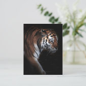 Zoeken naar grotere getouwen briefkaart (Staand voorkant)