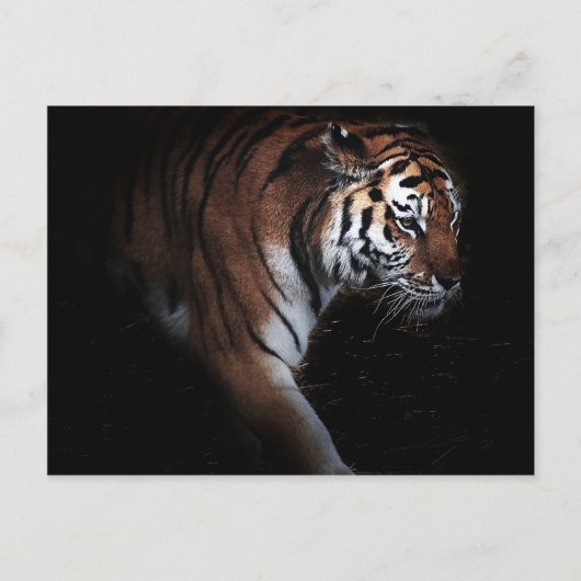 Zoeken naar grotere getouwen briefkaart (Voorkant)