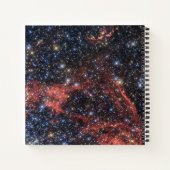 Zoeken naar overlevende van een supernova-explosie notitieboek (Achterkant)
