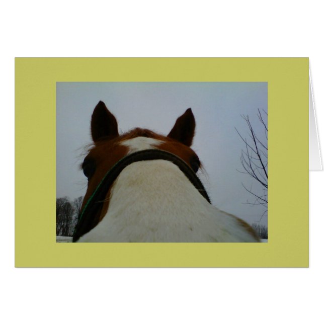 Zoeken op je kaart (Voorkant Horizontaal)