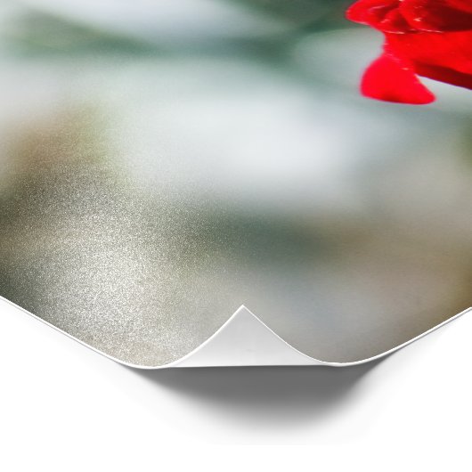 Zoekend Nectar Foto Afdruk (Hoek)