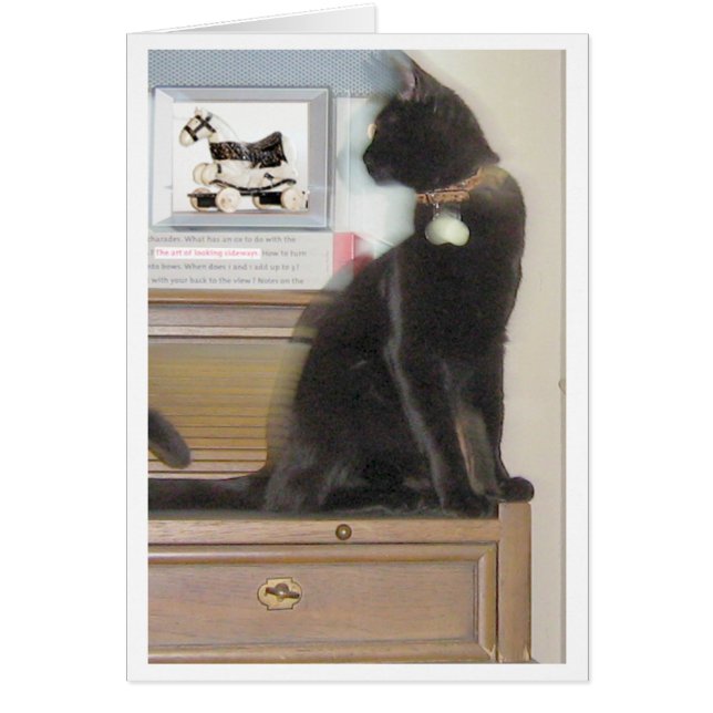 Zoekend Sideways (Voorkant)