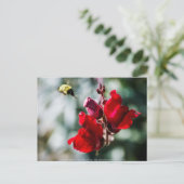 Zoekend Sweet Nectar Briefkaart (Staand voorkant)