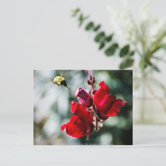 Zoekend Sweet Nectar Briefkaart (Staand voorkant)