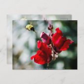 Zoekend Sweet Nectar Briefkaart (Voorkant / Achterkant)