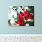 Zoekend Sweet Nectar Canvas Afdruk (Insitu (Houten vloer))