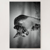 zoekende kat puzzel (Verticaal)