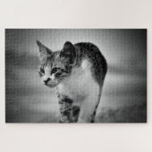 zoekende kat puzzel legpuzzel (Horizontaal)