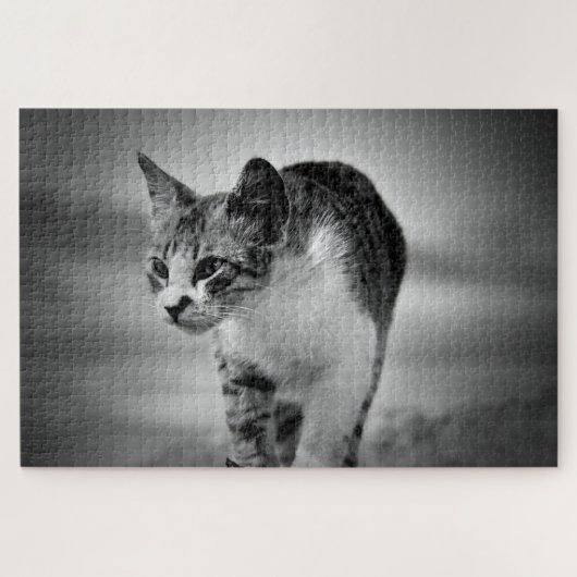 zoekende kat puzzel legpuzzel (Horizontaal)