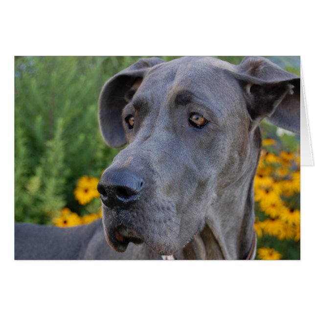  zoekkaart (Voorkant Horizontaal)