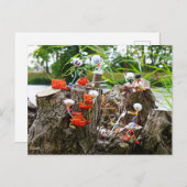 Zoekplaatje van Fubby activiteit bessengevecht. Briefkaart (Voorkant / Achterkant)