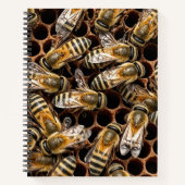 Zoem Zoem Notitieboek (Voorkant)