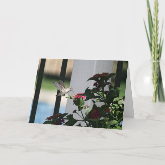 Zoemende Vogel, Lege Kaart (Voorkant)