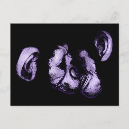 zoende chimpansees briefkaart (Voorkant)