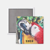 Zoenende ara's magneet (Voorkant / Achterkant)