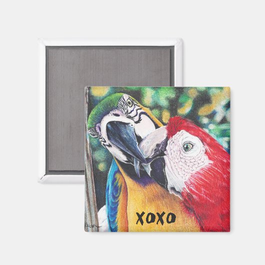 Zoenende ara's magneet (Voorkant / Achterkant)