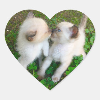 zoenende katjes hart sticker