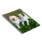 zoenende katjes in klaver notitieboek (Rechterzijde)