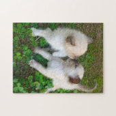 zoenende katjes legpuzzel (Horizontaal)