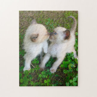 zoenende katjes legpuzzel