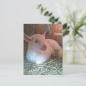 Zoe's Doelings Briefkaart (Staand voorkant)