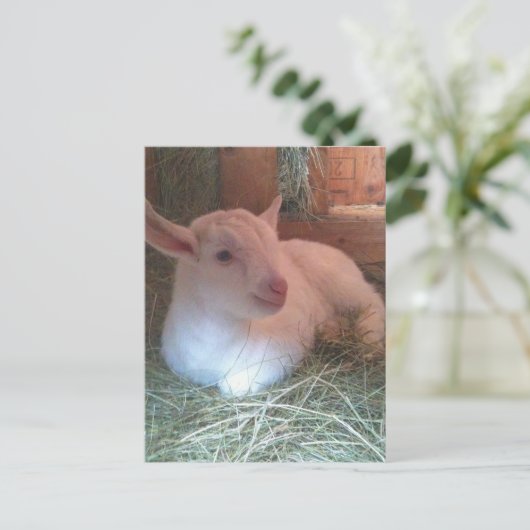 Zoe's Doelings Briefkaart (Staand voorkant)