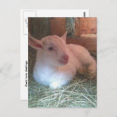 Zoe's Doelings Briefkaart (Voorkant / Achterkant)