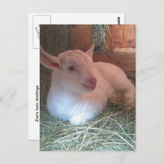 Zoe's Doelings Briefkaart (Voorkant / Achterkant)