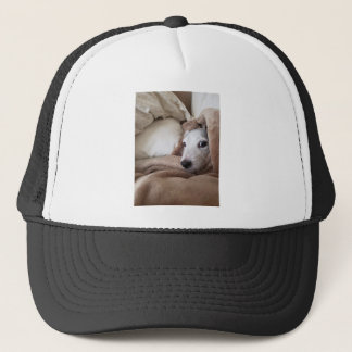 Zoe's vriend Yoda Jack Russell Terrier Trucker Pet