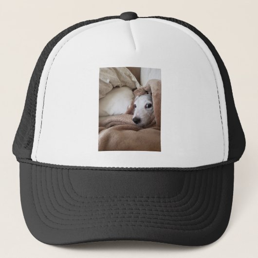 Zoe's vriend Yoda Jack Russell Terrier Trucker Pet (Voorkant)