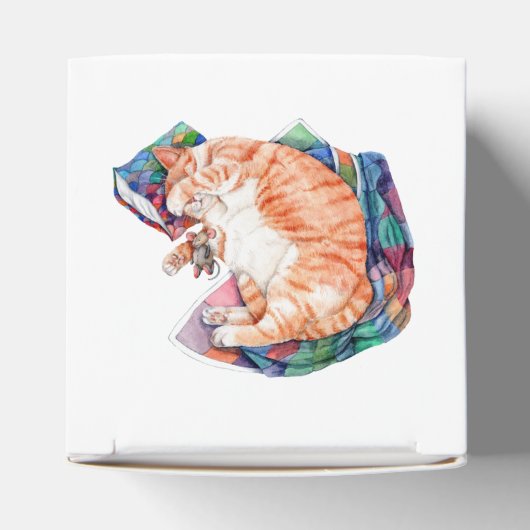 Zoe's Winter Nap Bedankdoosjes (Bovenkant)