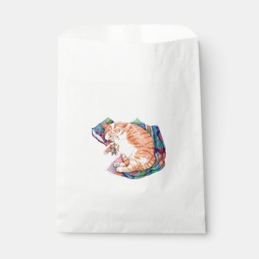 Zoe's Winter Nap Bedankzakje (Voorkant)