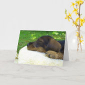 Zoet Baby - het leuke puppy van de Tekkel Kaart (Gele Bloem)