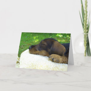 Zoet Baby - het leuke puppy van de Tekkel Kaart