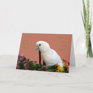 zoet kaart