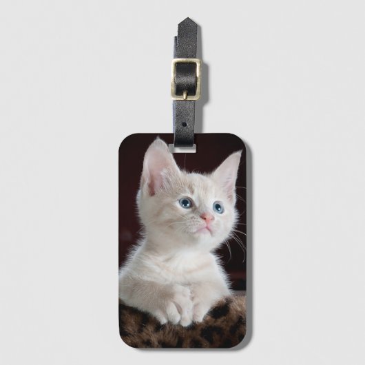 Zoet kat bagagelabel (Voorkant (verticaal))
