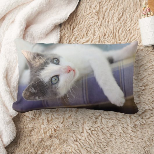 Zoet Kat in speldenstaaf Kussen (Deken)