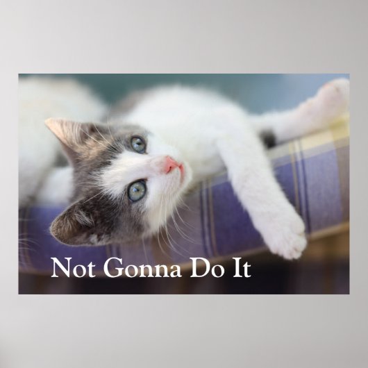 Zoet Kat in speldenstaaf Poster (Voorkant)